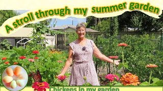 A stroll through my summer food garden - whats growing in December? @chickensinmygarden