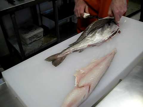 How to Fillet Haddock