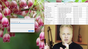 12-3. Importing AAF Files / NUAGE Courseware