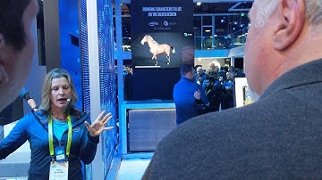 Intel