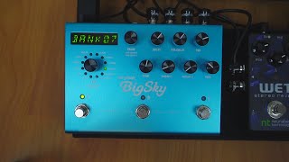 30 Minutes with the Strymon BigSky