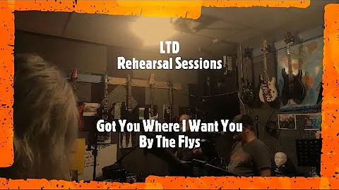 LTD cover of I Got You Where I Want You by The Fly's