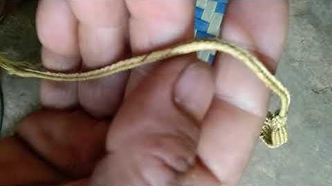 hlua khi qaib qus yuav cuab thiaj khov nawj