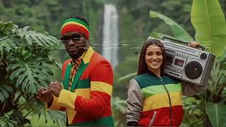 Jamaican Roots Reggae \u0026 Rasta Basslines 🇯🇲 - Vinyl Dub Mix 2025