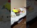 受験で合格できる裏技を紹介していこうと思うよ！