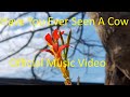 Have You Ever Seen A Cow Official Music Video Have You Ever Seen A Cow Official Music Video