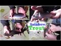 Ice Fishing Rainbow Trout ❄️🎣 Canadian Prairies
