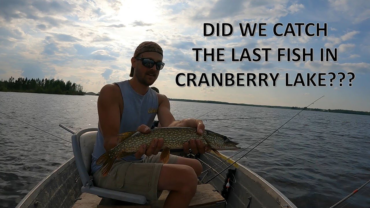 Did we Catch the LAST Fish in this Lake after a Winter Kill?? Cranberry