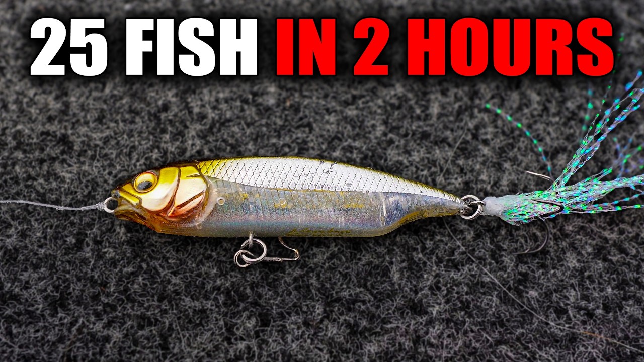 I Caught 25 FISH in 2 Hours Using this tiny Trick