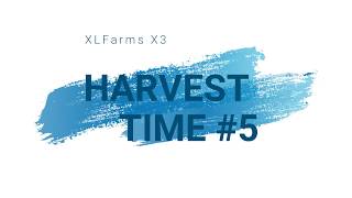 ["FS17", "final", "FS15", "FS13", "LS17", "edition", "xlfarms", "paradise", "FS09", "bigmap", "2011", "2013", "fs15", "farms", "sunshine", "big", "agroland", "maps", "farming", "16x", "BigBud", "mod", "XLFarms", "LS15", "LS09", "jogos", "LS13", "agrarfros