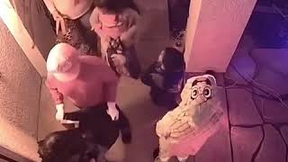 Trick or treat security camera - so many