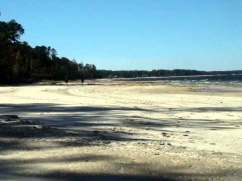 Winter racing on the lakeshore beach on our Tennessee Walking Horses!