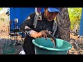 Cocinando una sopa de bagres 🐟 de la pesca a la Cocina