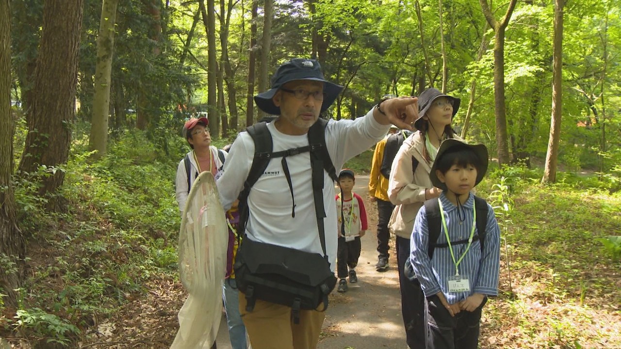 An insect observation event to experience the charm of insects