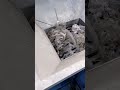 #sand #machine #crusher #crushermachine #shredder #shreddermachine