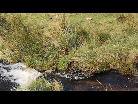 Pennine Bridleway South