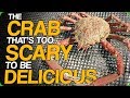 The Crab That's Too Scary To Be Delicious (Pronouncing British Place Names)