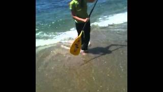 Video Thumbnail for Charnae testing new Victory Koredry lycra SUP pants