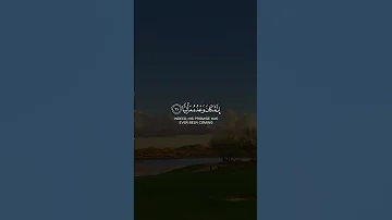 جنات عدن الذي وعد الرحمن القارئ عبد الرحمن مسعد قرآن كريم 