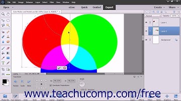 Photoshop Elements 15 Tutorial Transforming Selections Adobe Training