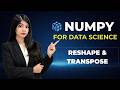 NumPy Reshape Explained | Flatten vs Ravel, Transpose &amp; Array Dimensions