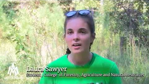 Forest Inventory Fixed Radius Plots