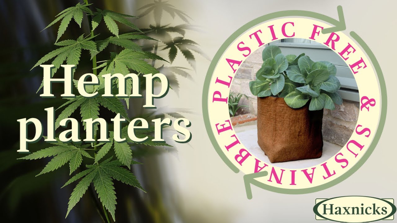 たためる麻製プランター 40L 鉢カバー 生分解性 | Hemp Fiber Pot 40L