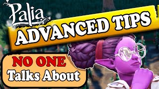 Advanced Tips in Palia - Best Time To Farm Renown & Best Farm Layout+Animation Canceling? [Outdated]