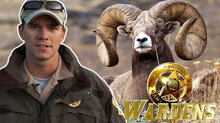 Wardens | Episode 10: Operation Big Horn | FD Real Show