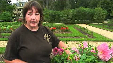 Hagley's Video Minute - Garden Talk with Eileen Bo...