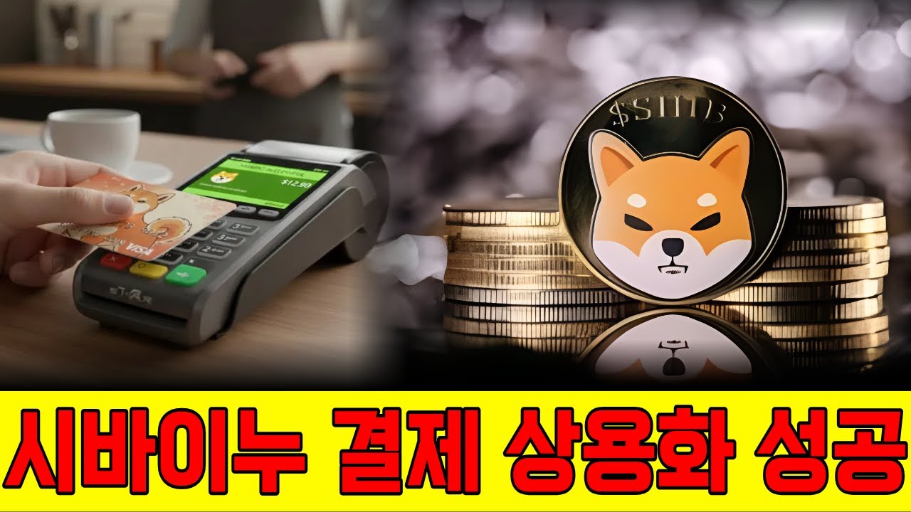 시바이누 결제 상용화 