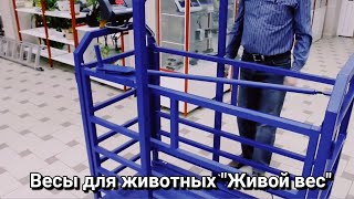 картинка: Весы для животных 