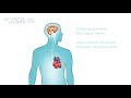 Why exhaling makes you last longer during sex