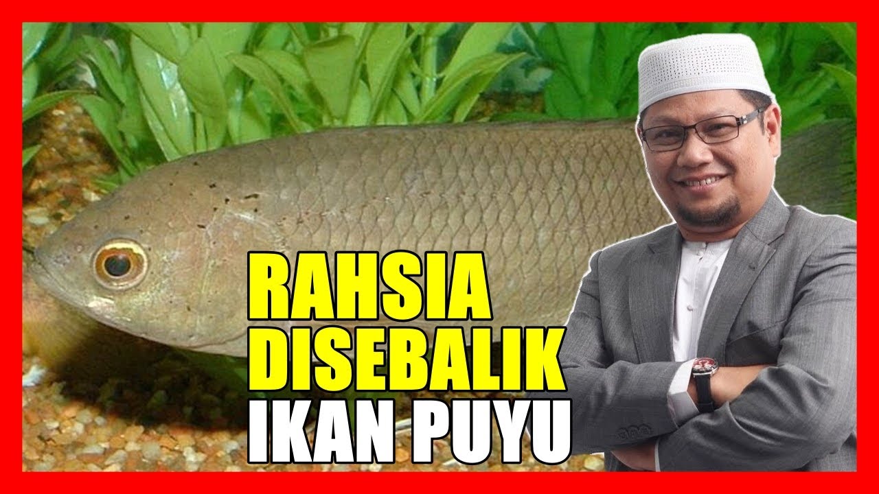 Kenapa Orang Dulu Suka Bela Ikan Puyu Depan Rumah - Ustaz Badlishah Alauddin
