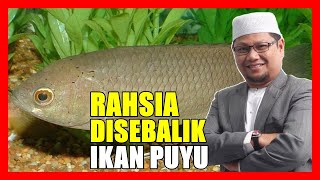 Kenapa Orang Dulu Suka Bela Ikan Puyu Depan Rumah - Ustaz Badlishah Alauddin