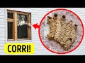 Quando avvistate questo, fidatevi del vostro istinto e correte!