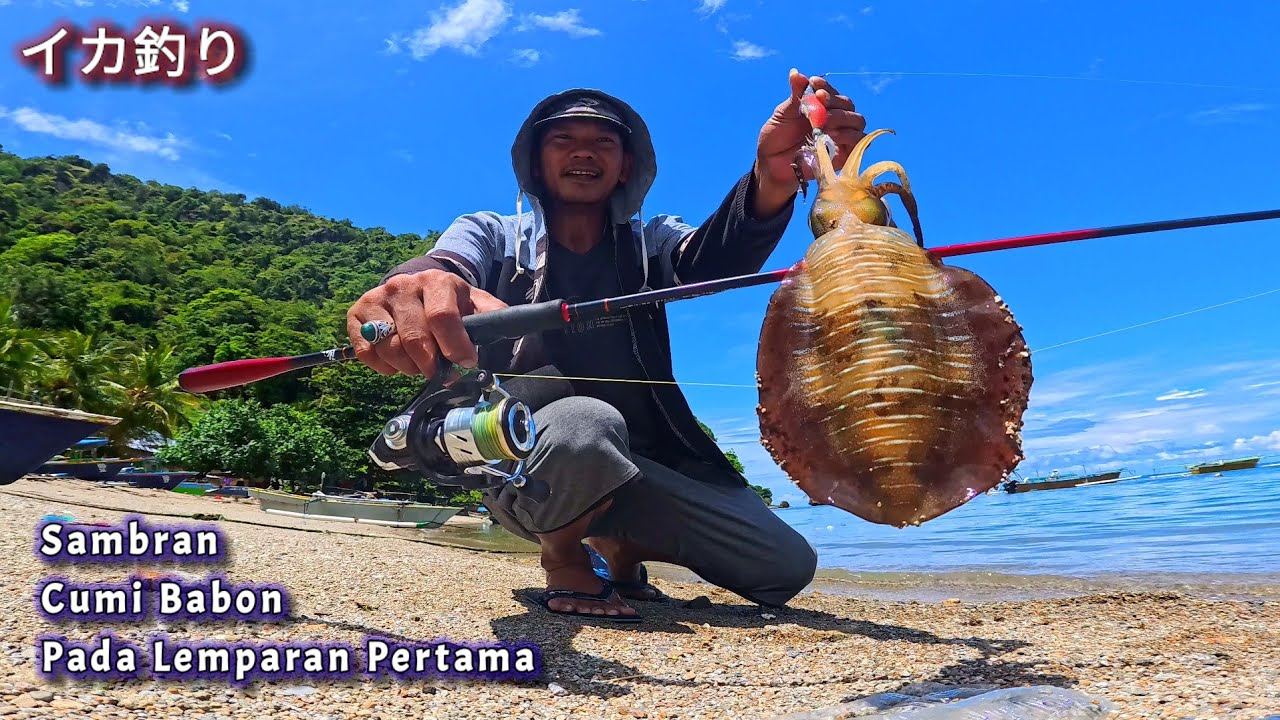 Lemparan pertama langsung di sambar cumi babon || Mancing cumi di pinggiran pantai pagi hari