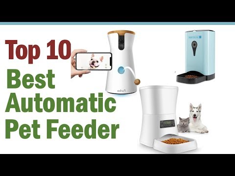 best-automatic-pet-feeders-2020-||-top10-best-automatic-pet-feeders