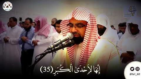 القارئ - ناصر القطامي (ما سلككم في سقر )