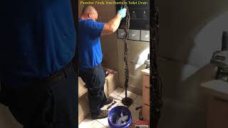 😲 Plumber Finds Tree Roots In Toilet Drain 👀 #shorts