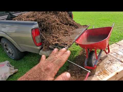 Vídeo: Mulching Veggie Beds - Como e quando adicionar cobertura morta em hortas