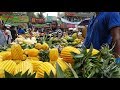 Amazing Fruits Market | Beautiful Muslim Ramadan Iftar Bazar Old Dhaka Bangladesh