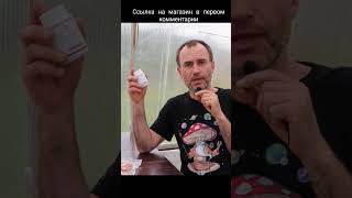 Как принимать мухомор? #микродозинг #мухомор