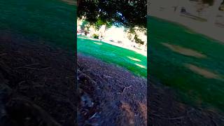 This is why I need digital #fpv #fpvdrone