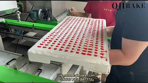 Semi Starch Mogul Gummy Jelly Candy making machine, Starch gummy candy production line