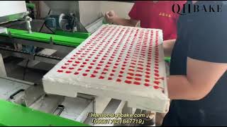 Semi Starch Mogul Gummy Jelly Candy making machine, Starch gummy candy production line screenshot 5