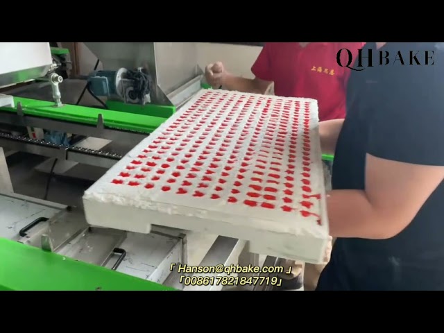 Semi Starch Mogul Gummy Jelly Candy making machine, Starch gummy candy production line class=