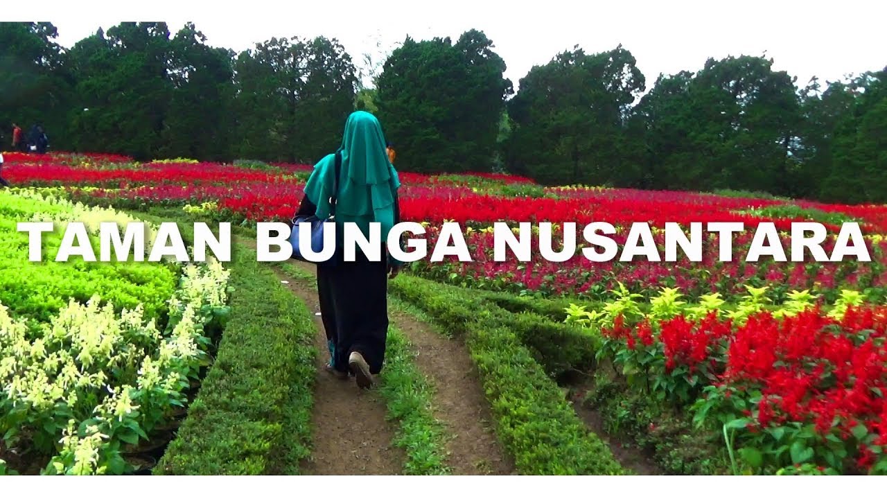 Taman Bunga Nusantara Cianjur Vlog 2