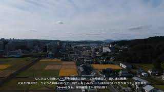 兵庫県三田市　176号線沿い　田んぼの風景231015