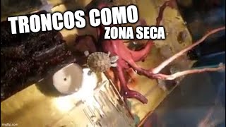 troncos como zona seca para tortugas